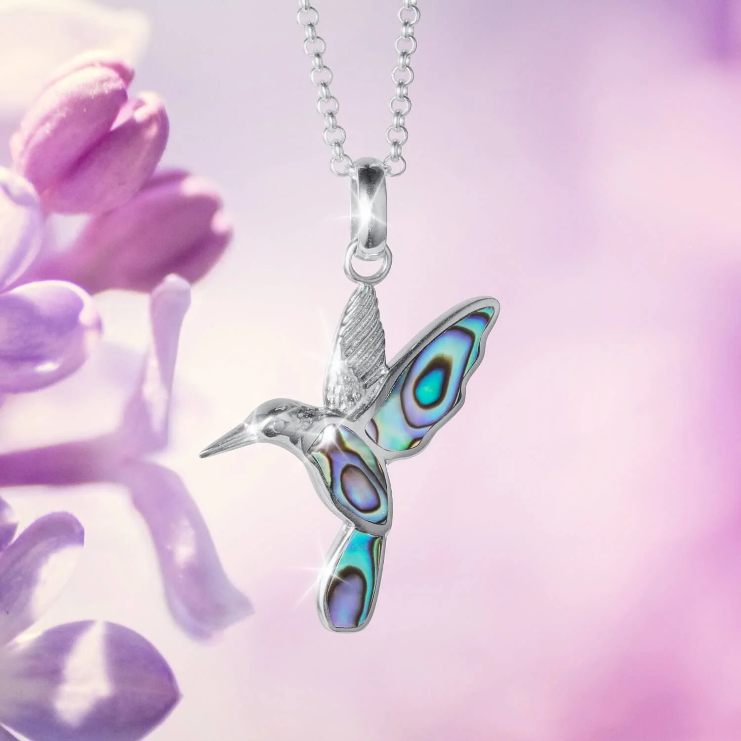 Abalone Hummingbird Collection - Image 5