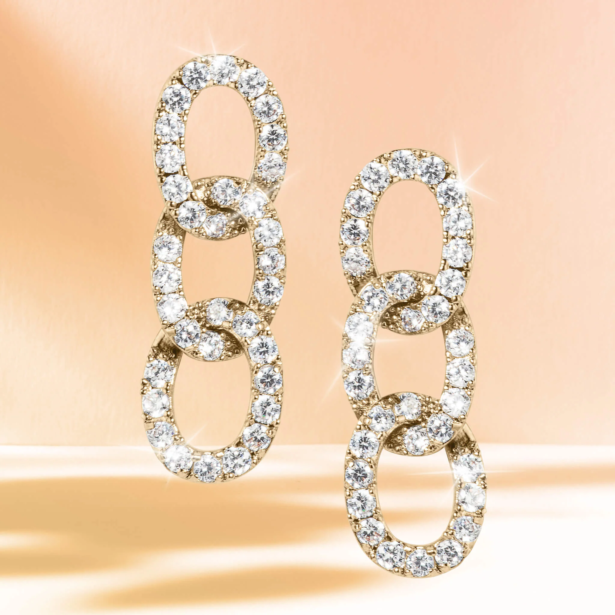Curb Appeal Earrings - Image 2